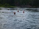 Dumoine River (Jul 2012) - B and S (2) - 042

